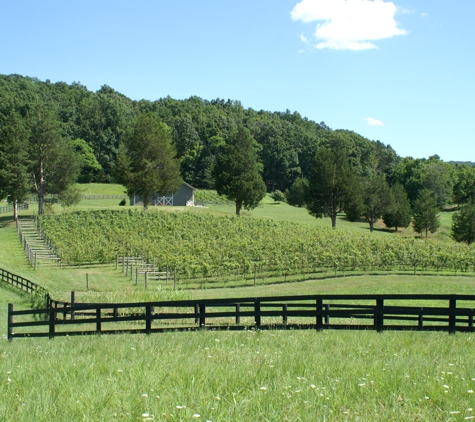 Five Oaks Vineyard - Barboursville, VA