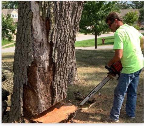 Clemons Tree Service