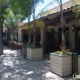 Alberto's Cantina