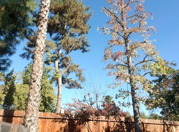 Erick's tree service - Fresno, CA