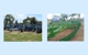 Western Farm Machinery