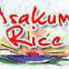 Asakuma Rice gallery