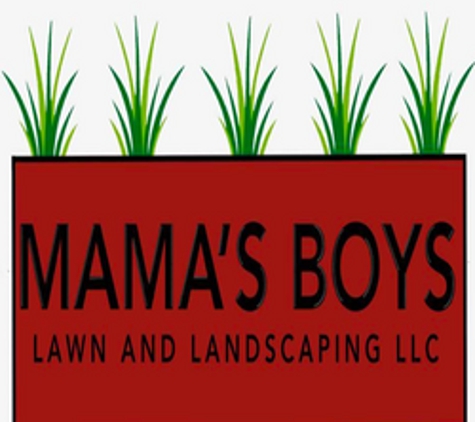 Mama's Boy Lawn and Landscape - Hanover, MN