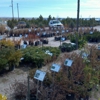 Heidrich's Colorado Tree Farm Nursery gallery