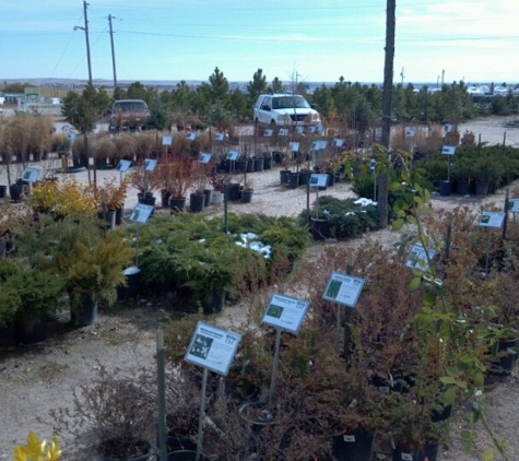 Heidrich's Colorado Tree Farm Nursery - Colorado Springs, CO