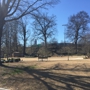 Piedmont Park