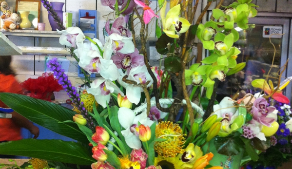 Fiesta Flowers & Nursery - Homestead, FL
