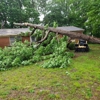 Junior Loye Tree Service gallery