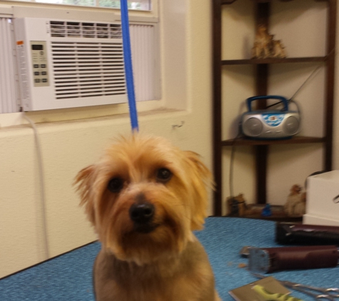 Kathy's Dog Grooming - Tahlequah, OK