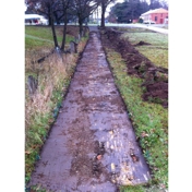 Gallery Image Number 2