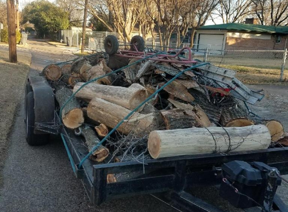 Antonio's Tree Service - Dallas, TX