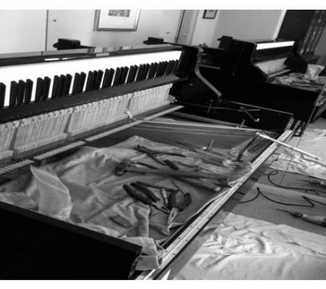 Emanuel Rey Mobile Piano Builder & Technician - Winmalee, NSW