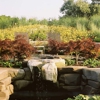 Wingworks Landscape Inc gallery