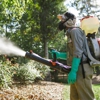 Killingsworth Environmental - Pest Control and Lawn Care Services gallery