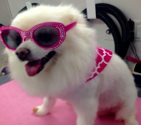 Haute Pets Mobile Grooming Salon - Houston, TX. Haute Pet