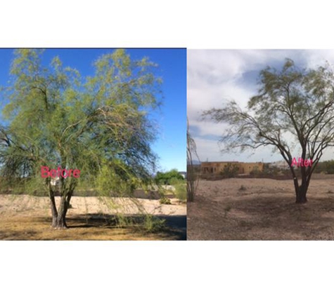 Yard Guard - Phoenix, AZ