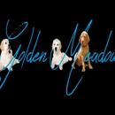 Golden Meadows Kennel - Dog Training