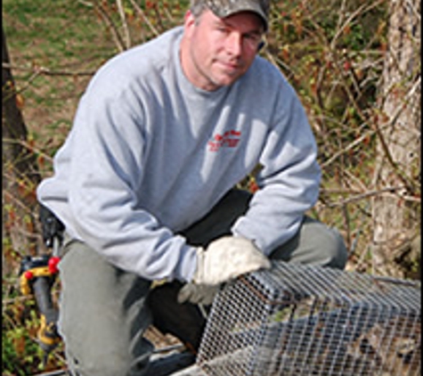 Qualitypro Pest & Wildlife Svc - Tarrytown, NY