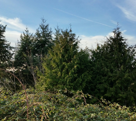 A's Tree Service - Stanwood, WA