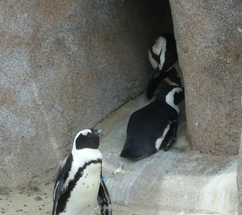 Toledo Zoo & Aquarium - Toledo, OH