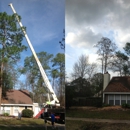 Greenwise Tree Surgeons - Tree Service