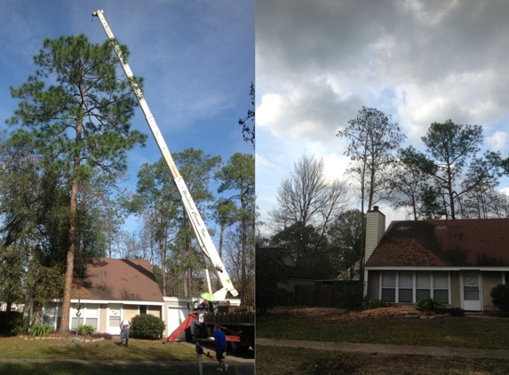 Greenwise Tree Services - Jacksonville, FL