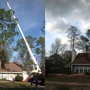 Greenwise Tree Surgeons