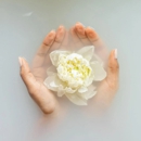 White Rose at San Clemente - Funeral Directors