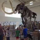 Fossil Discovery Center - Museums