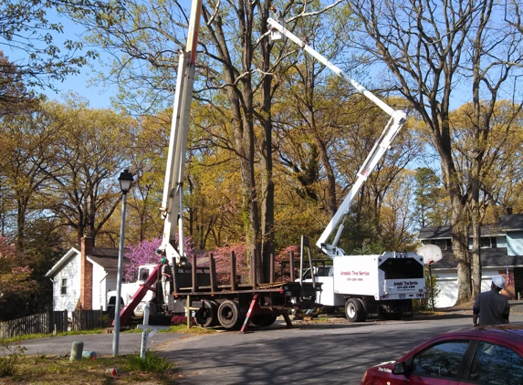 Arundel Tree Service - Pasadena, MD