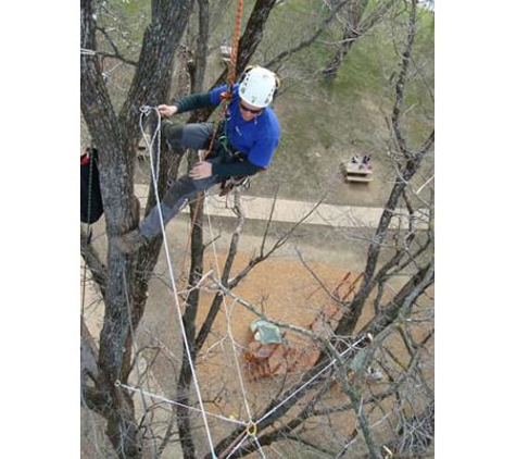 TreeSpec Professional Arborists
