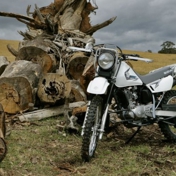 Gallery Image Number 3