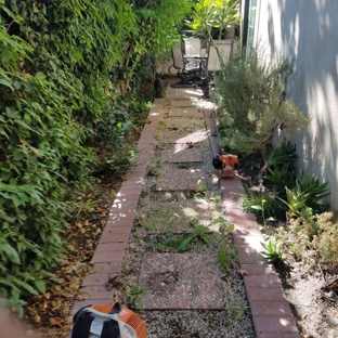 Cardenas Gardening Lawn Maintenance - Santa Ana, CA