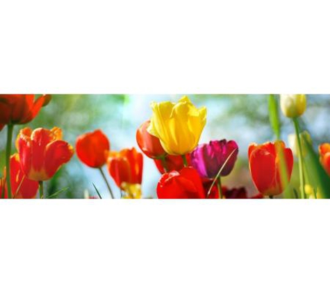 Daphne Florist - Kalgoorlie, WA