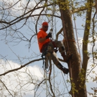 Ace's Tree Service Inc.