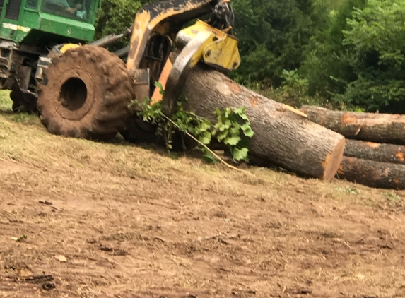 Wallis Logging - Salem, MO