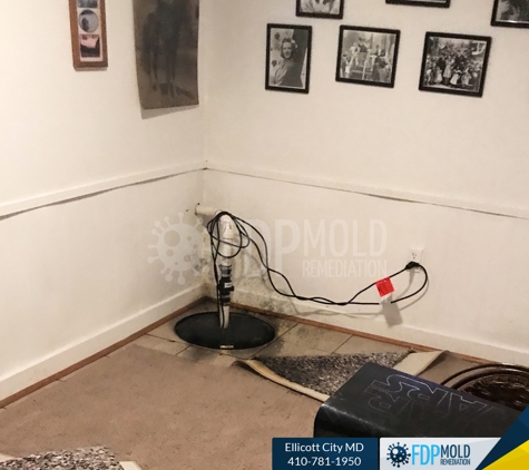 FDP Mold Remediation of Ellicott City - Ellicott City, MD