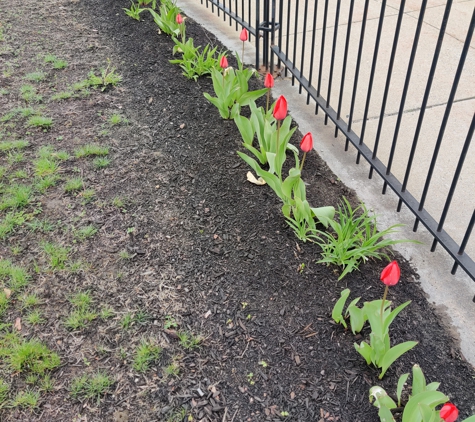 Lisabeth Wotherspoon, LICSW - Rochester, NH. The edge of the park outside by building at 1 N Main St, Rochester, NH.