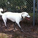 Logan Gate Dog Park - Parks