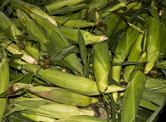 Nurel's Farmers Market - Hampton Bays, NY. FRESH LOCAL CORN - A BARGAIN HERE!!