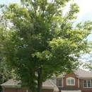 Tree Green Your Tree M.D. - Tree Service