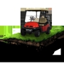 David Stormer Golf Carts