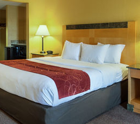 Comfort Suites Southpark - Colonial Heights, VA