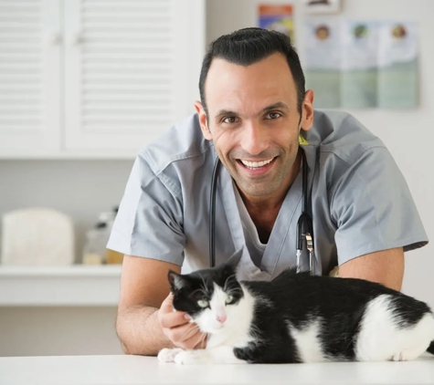 Ashcroft Veterinary Surgeons - Ashcroft, NSW