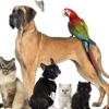 Your Loved Pet gallery