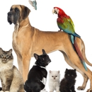 Your Loved Pet - Pet Supplies & Foods-Wholesale & Manufacturers