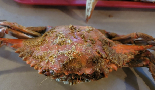 Fat Boy's Crab Shack - Gambrills, MD