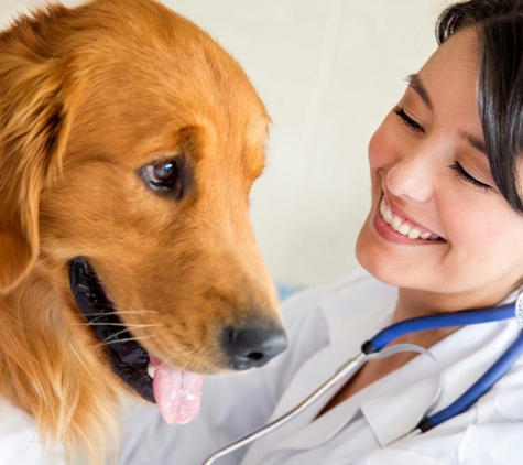 Laverton Veterinary Clinic. We Strive To Show Concern And Understanding For Their Health Needs