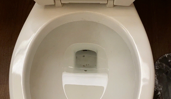 Presto Cleaning - San Diego, CA. Toilet After