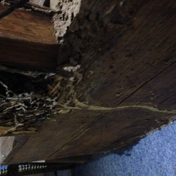 Gallery Image Number 8